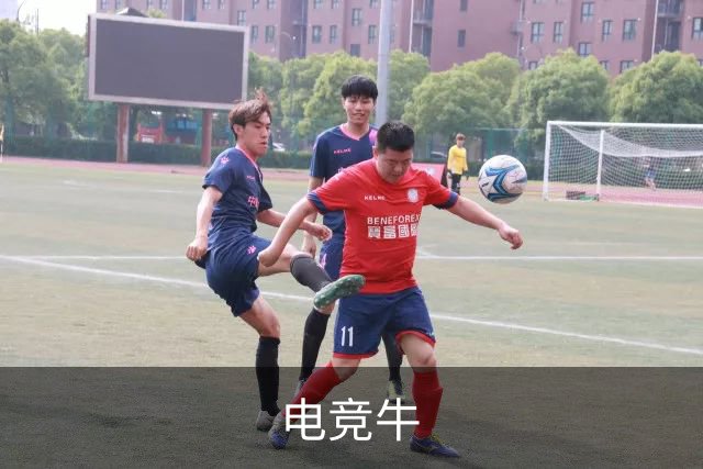 电竞牛公司环境